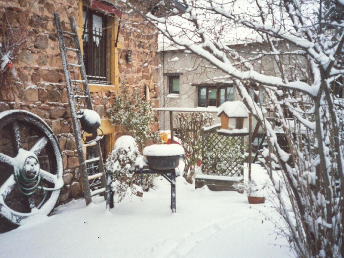 Gite Charmant Avec Jardin Privatif, Proche Sites Historiques Et Activites De Plein Air - Fr-1-496-183 Cuinzier エクステリア 写真