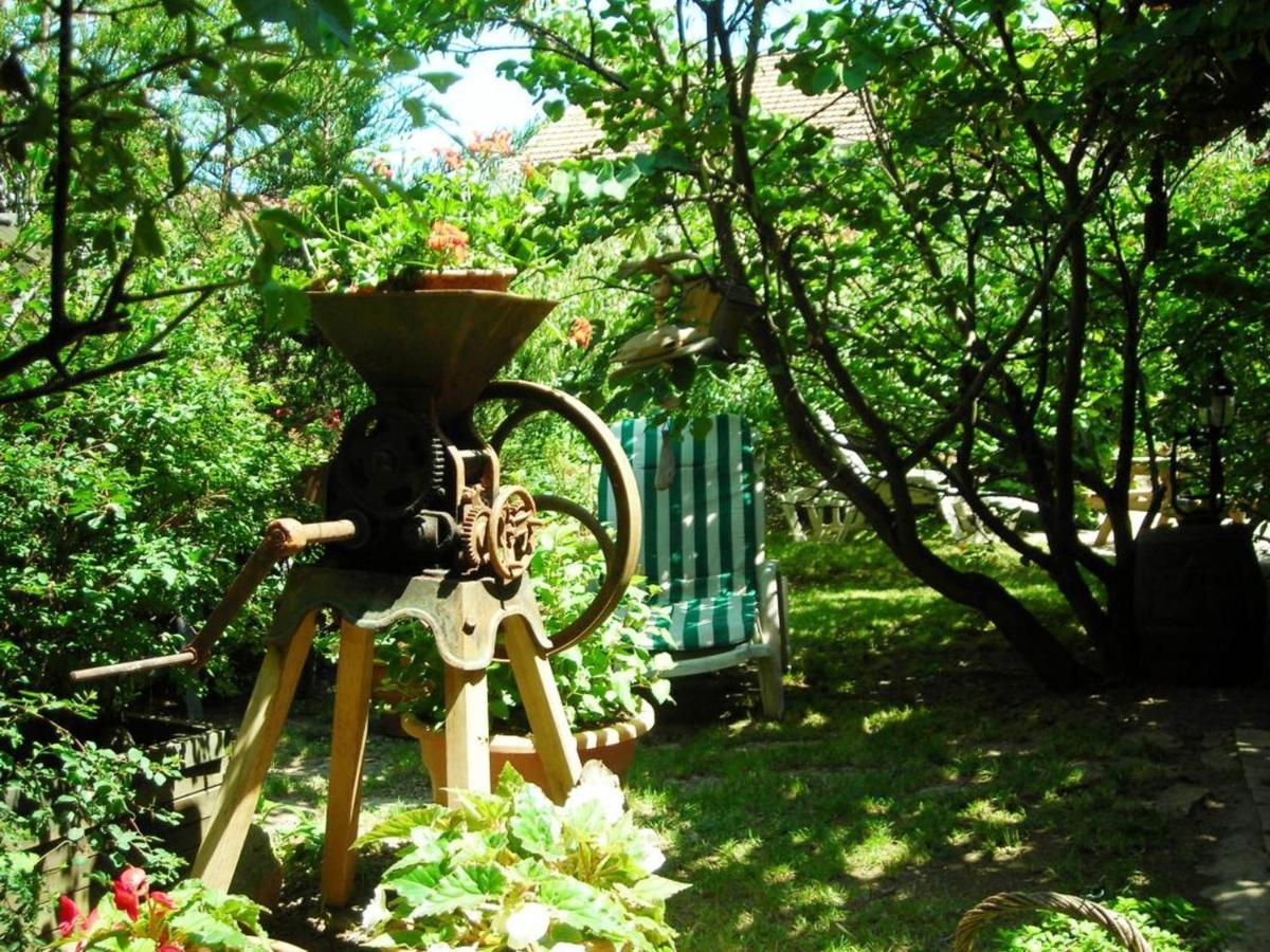 Gite Charmant Avec Jardin Privatif, Proche Sites Historiques Et Activites De Plein Air - Fr-1-496-183 Cuinzier エクステリア 写真